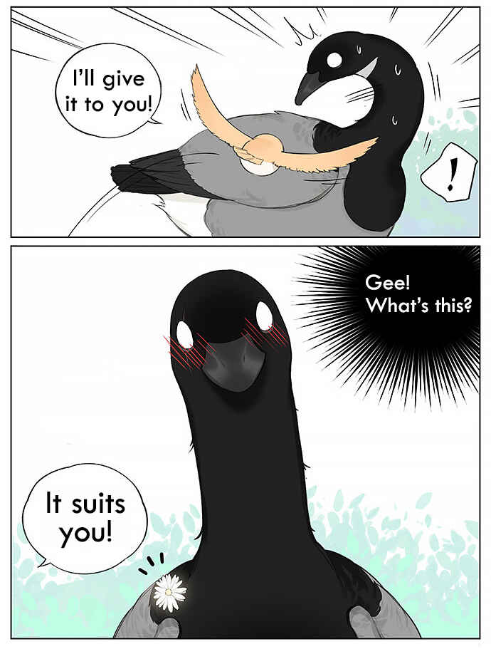 Southern Bird and Northern Bird Chapter 21 - Page 3