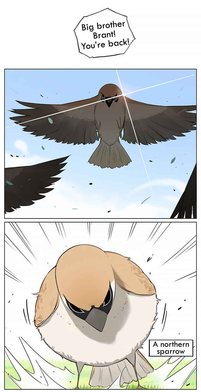 Southern Bird and Northern Bird Chapter 21 - Page 4