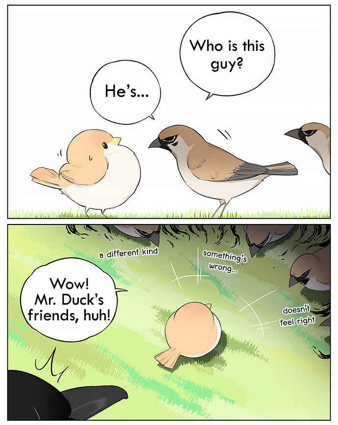 Southern Bird and Northern Bird Chapter 21 - Page 5