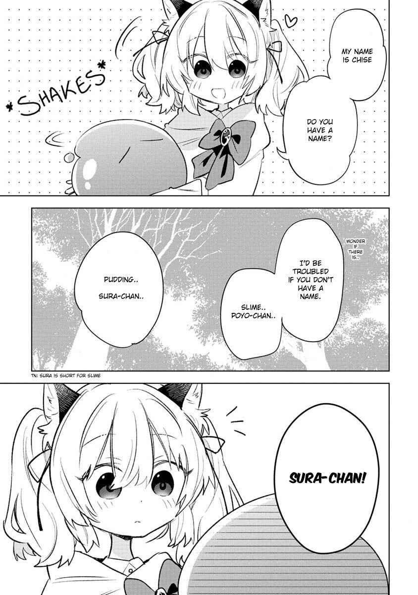 Nekomimi Shoujo wa Mori de Slow Life wo Okuritai ~Mofumofu wa Shomou Shimashita ga, Seijo to ka Ouji-sama to ka wa Chuumongai desu~ Chapter 1 - Page 14
