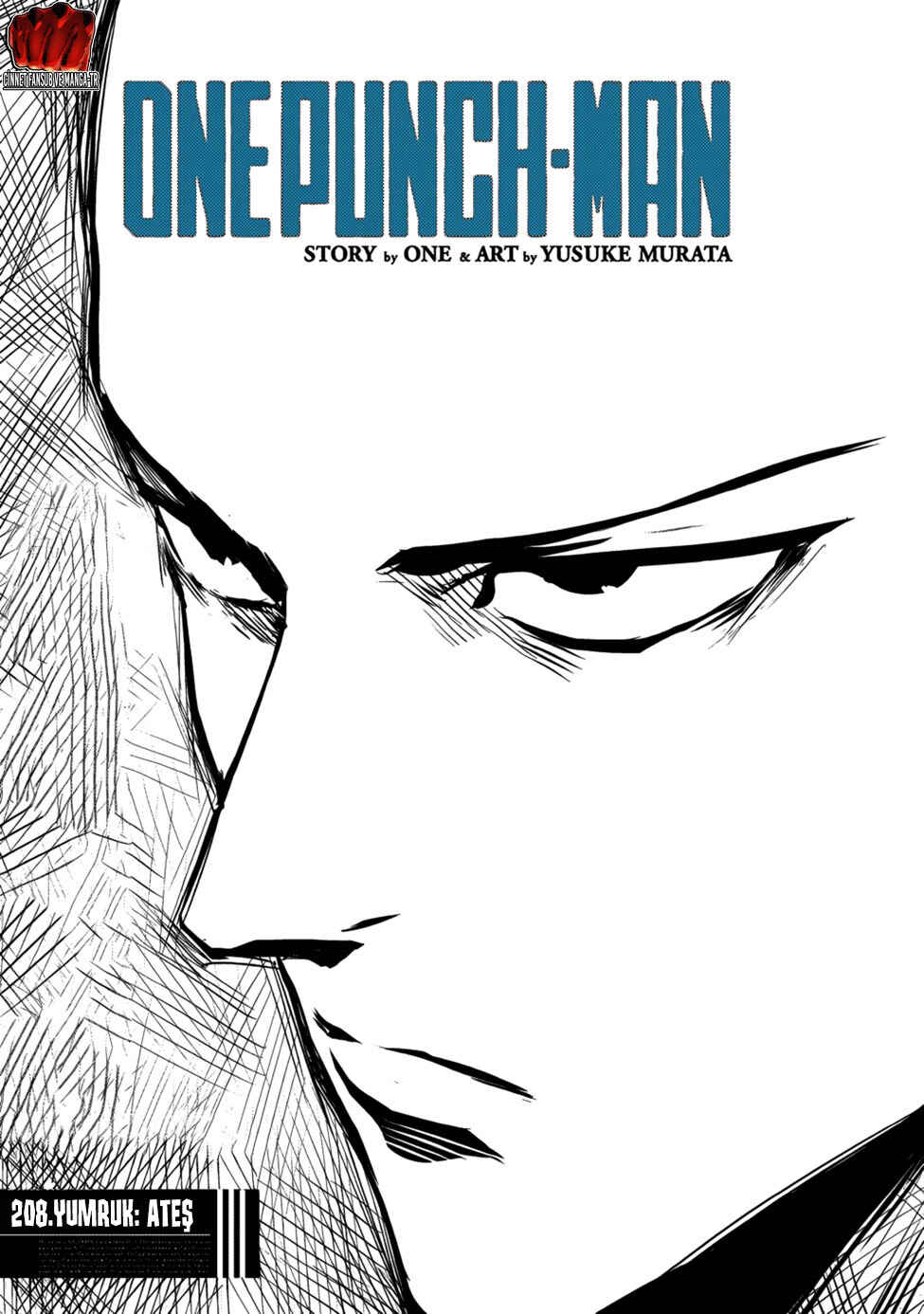 One Punch-Man Chapter 208 - Page 2