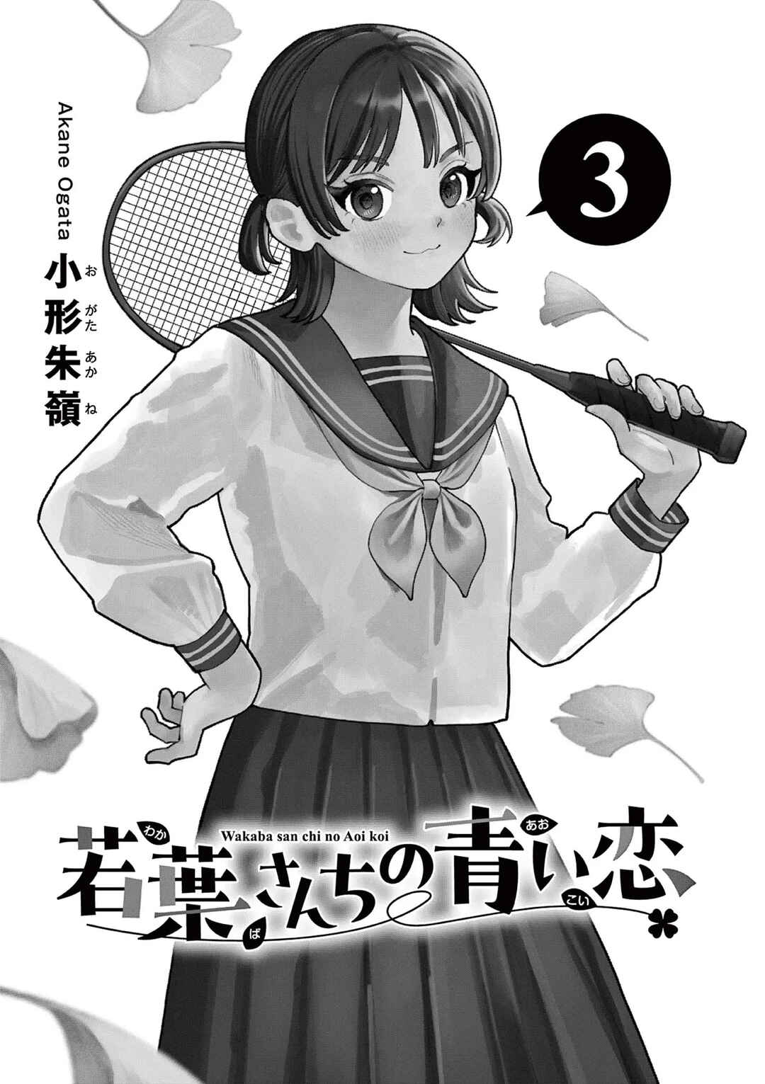Wakaba-san Chi no Aoi Koi Chapter 27.5 - Page 3