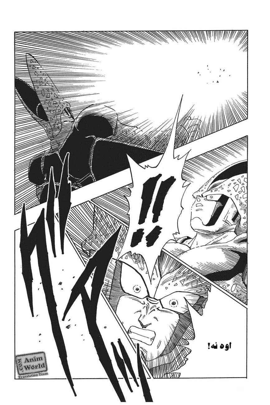 Dragon Ball Chapter 384 - Page 12