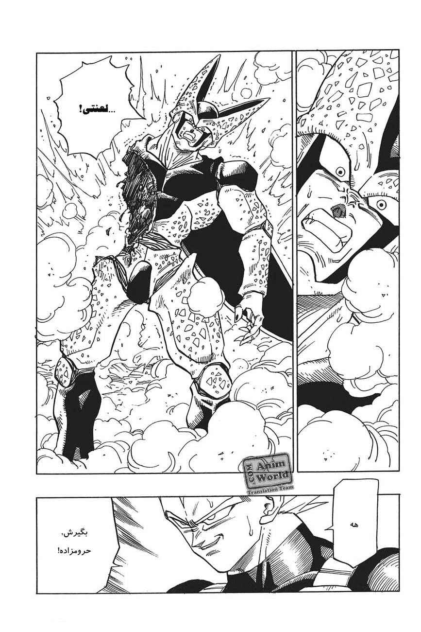 Dragon Ball Chapter 384 - Page 15
