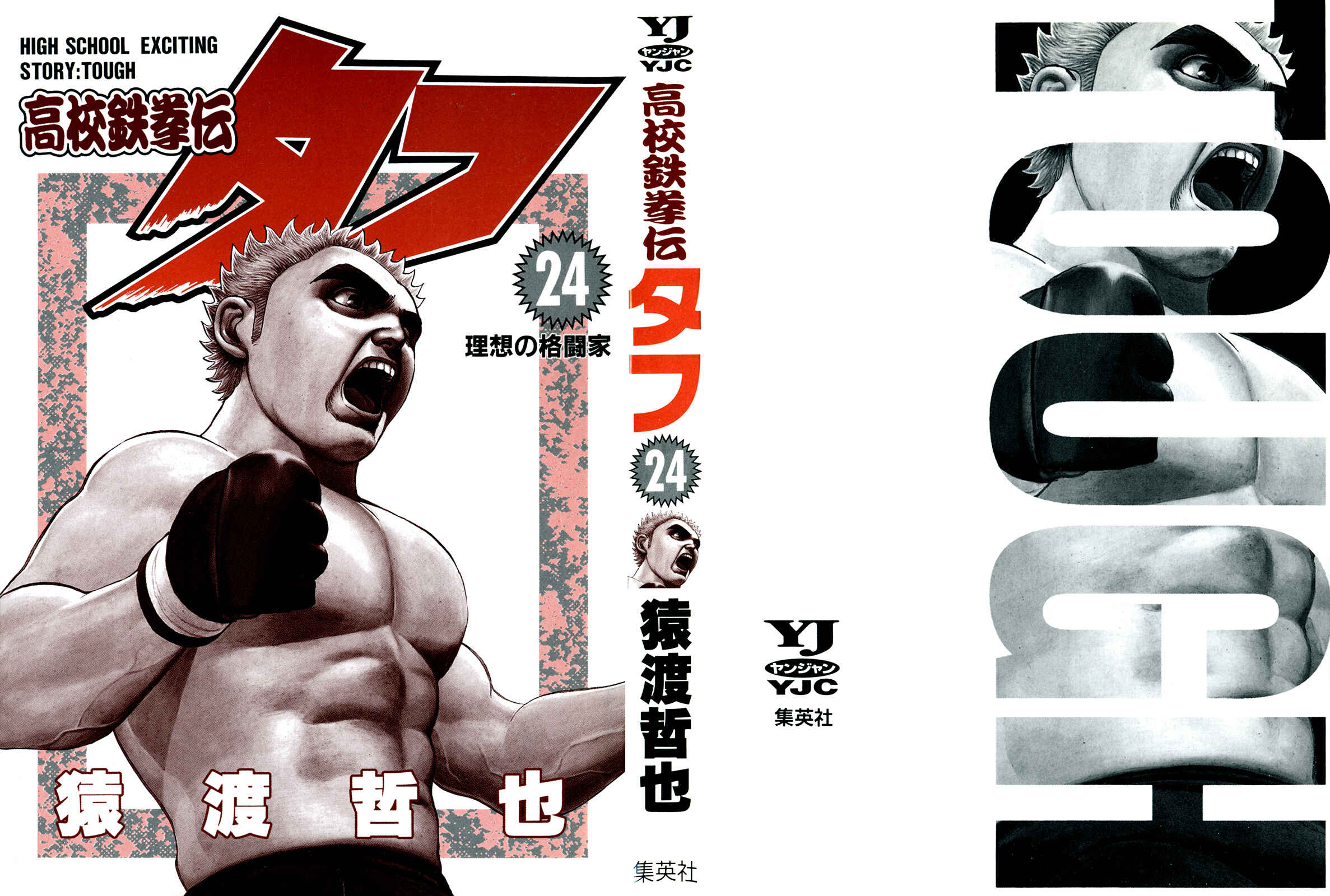 Koukou Tekken-den Tough Chapter 248 - Page 2