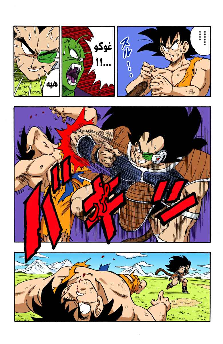 Dragon Ball (Official Colored) Chapter 202 - Page 11