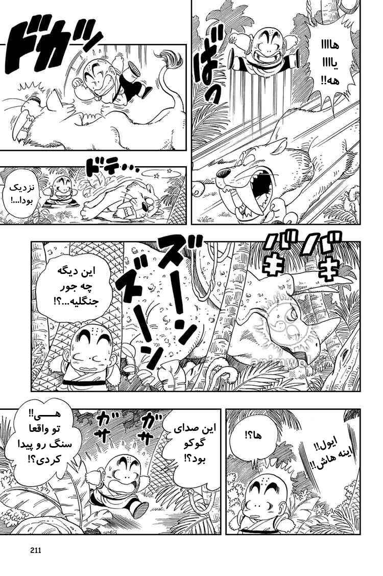 Dragon Ball Chapter 29 - Page 11