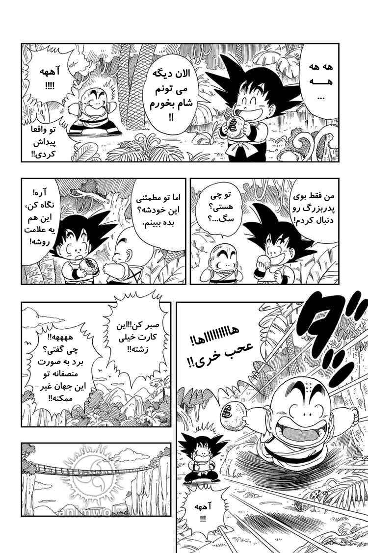 Dragon Ball Chapter 29 - Page 12