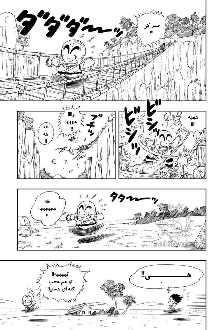 Dragon Ball Chapter 29 - Page 13