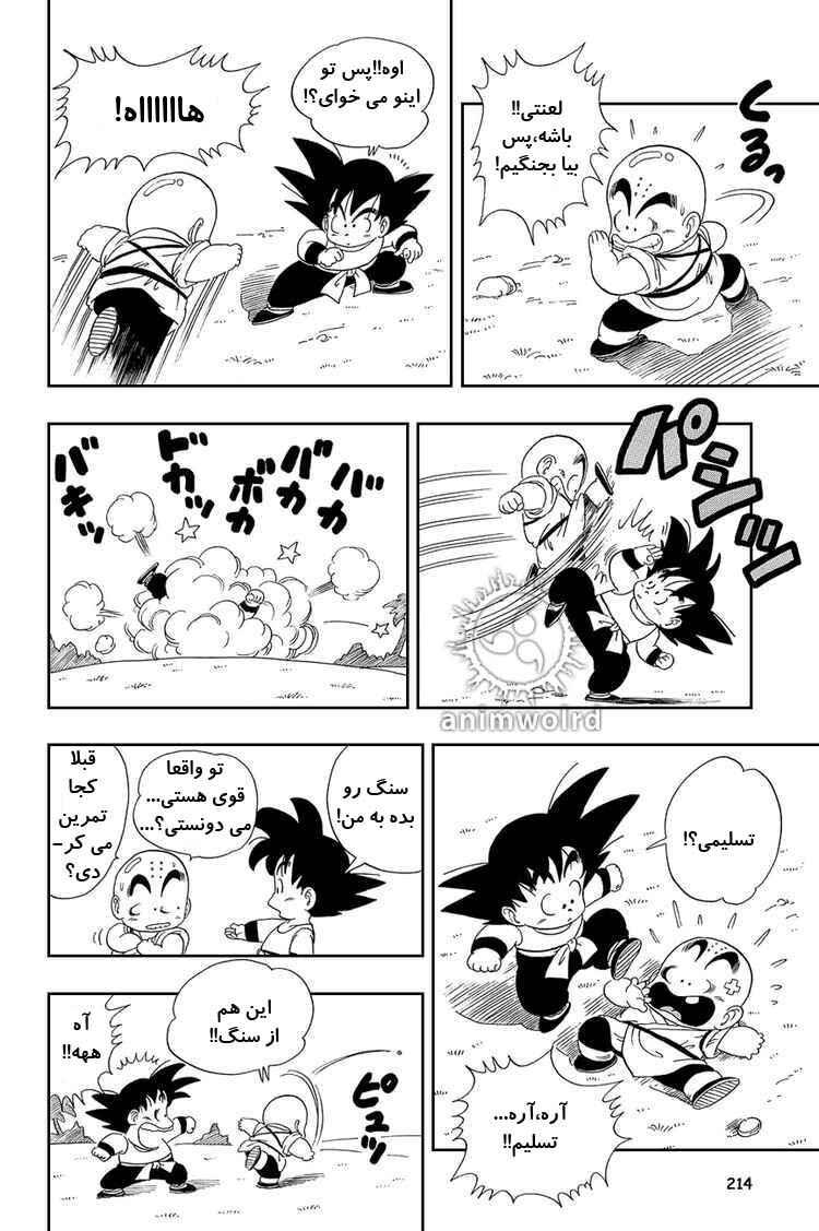 Dragon Ball Chapter 29 - Page 14