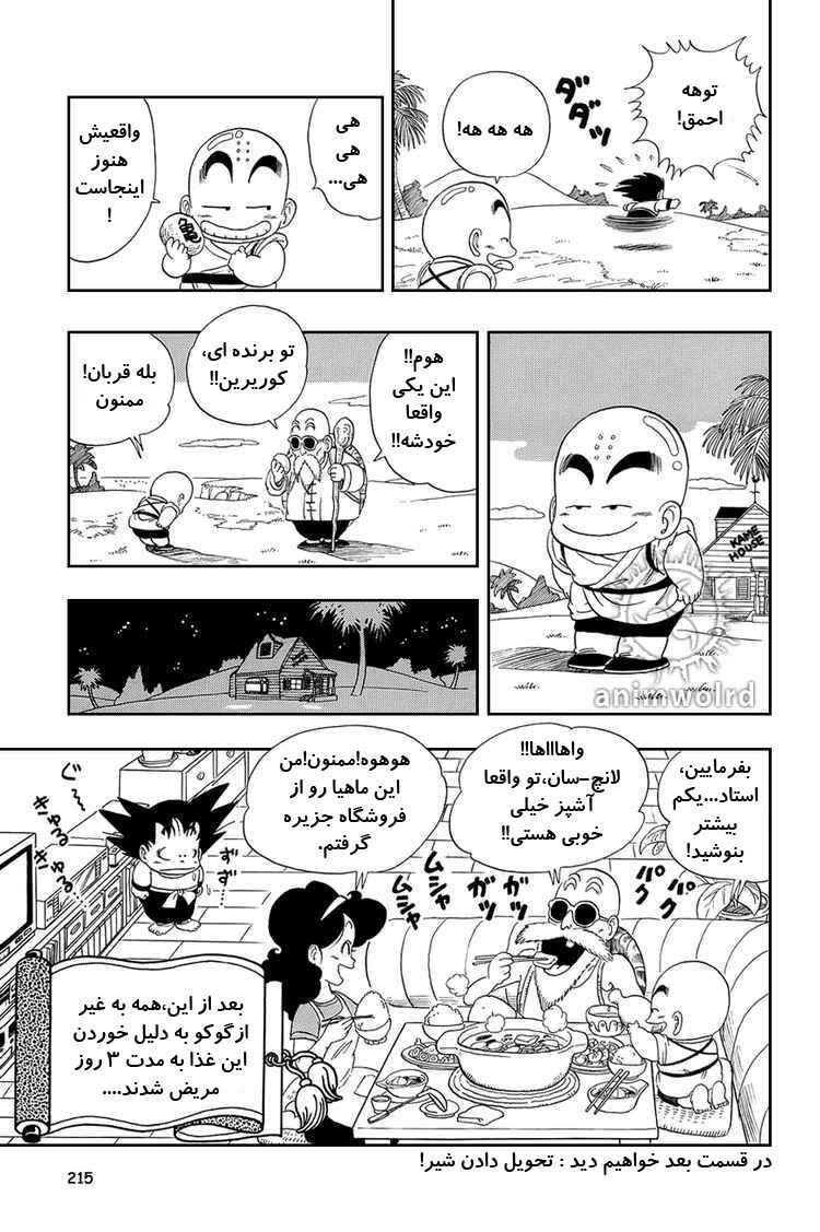 Dragon Ball Chapter 29 - Page 15