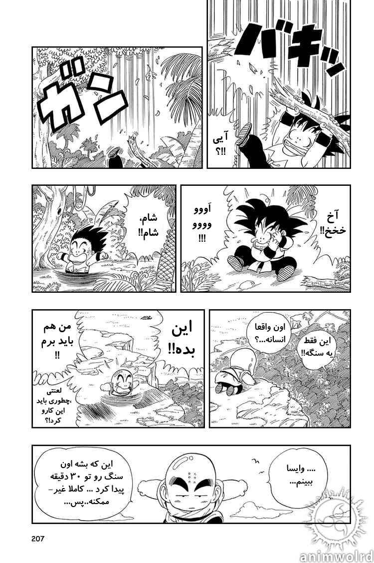 Dragon Ball Chapter 29 - Page 7