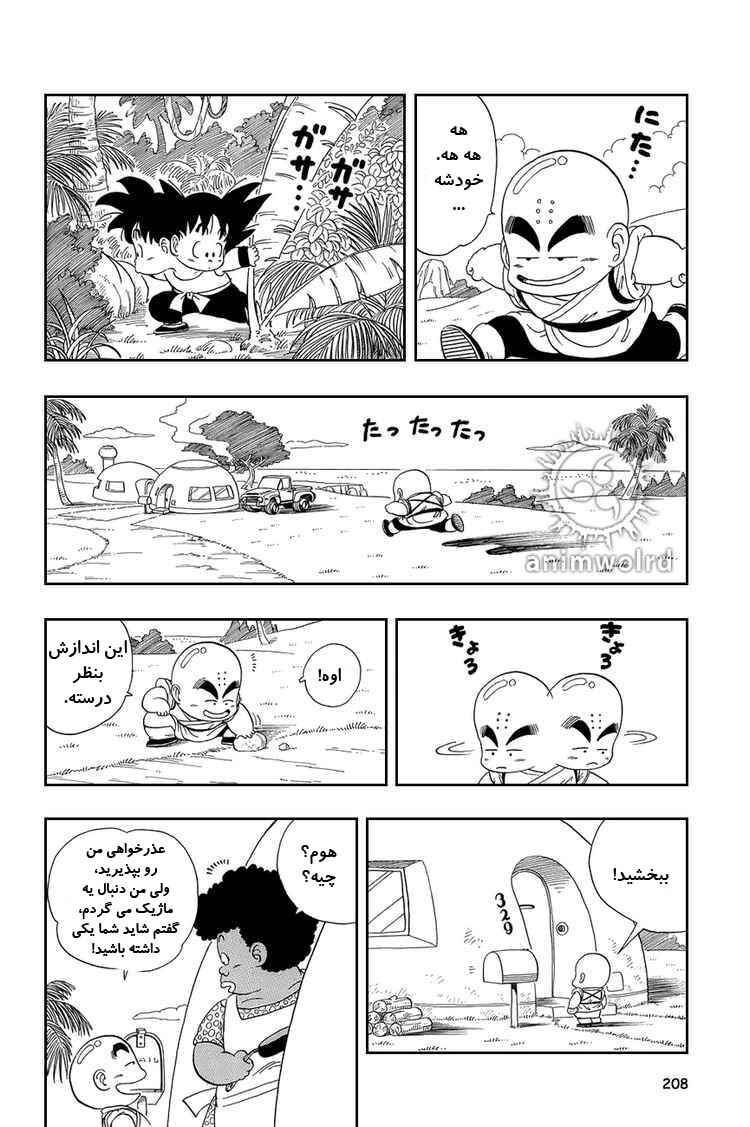 Dragon Ball Chapter 29 - Page 8