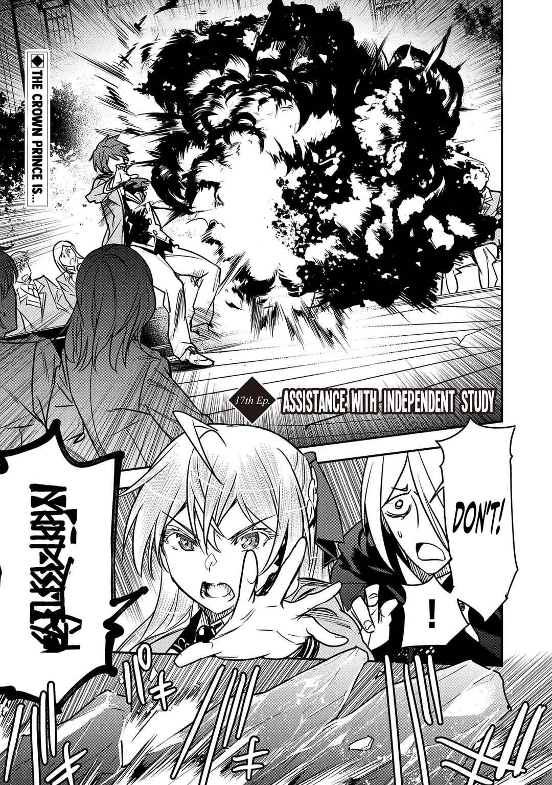 Chounin A wa Akuyaku Reijou o Doushitemo Sukuitai: Dobu to Sora to Koori no Himegimi Chapter 17 - Page 2