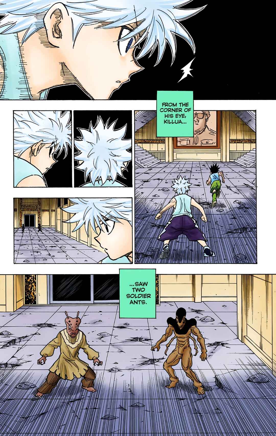 Hunter x Hunter (Official Colored) Chapter 269 - Page 9