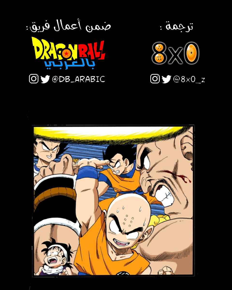 Dragon Ball (Official Colored) Chapter 221 - Page 15