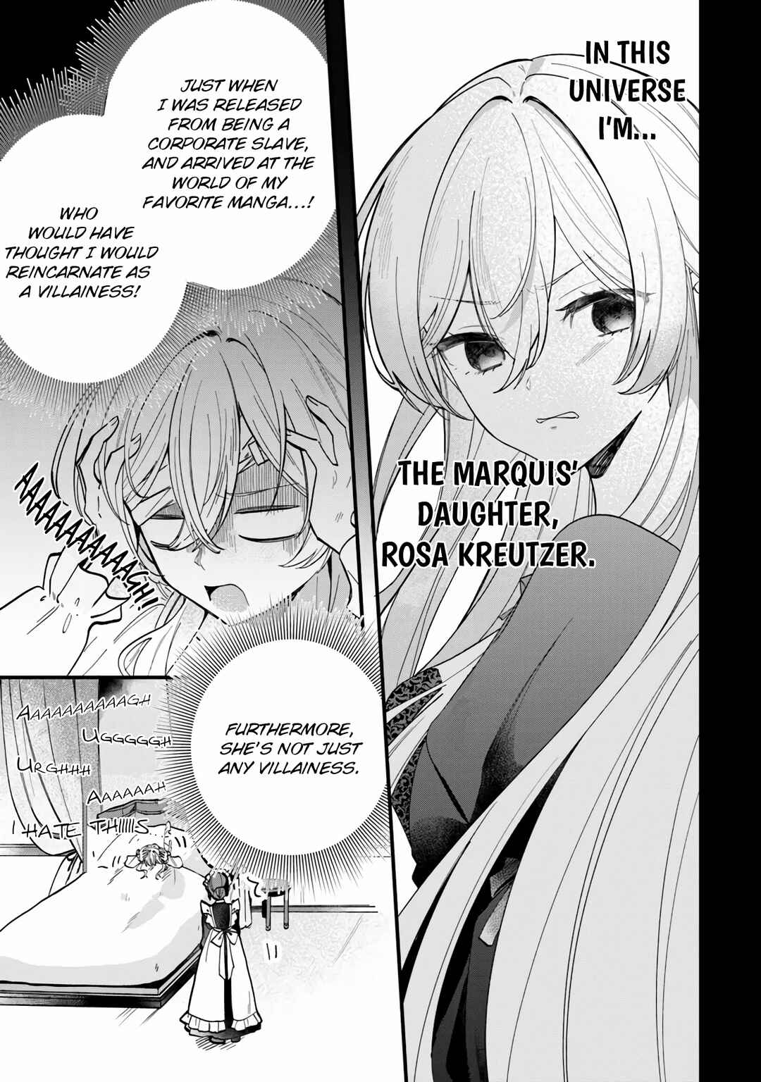 Ouji-sama Nado Irimasen! Chapter 1 - Page 11