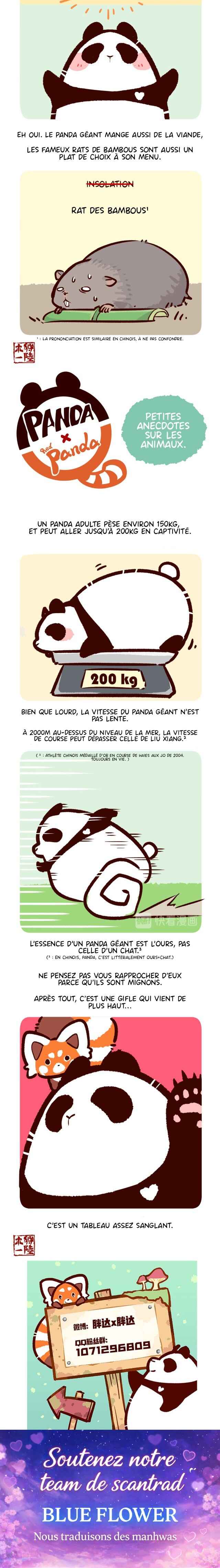 Panda x Red Panda Chapter 16 - Page 3