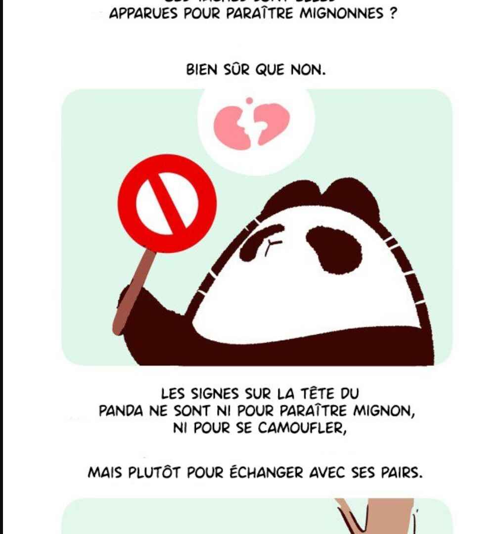 Panda x Red Panda Chapter 1 - Page 14