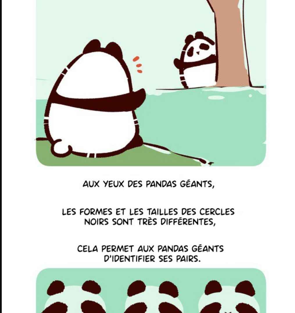 Panda x Red Panda Chapter 1 - Page 15