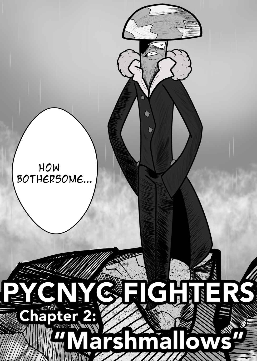 Pycnyc Fighters Chapter 2 - Page 3