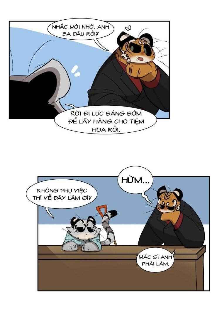 Miss Kitty and Her Bodyguards Chapter 196 - Page 9