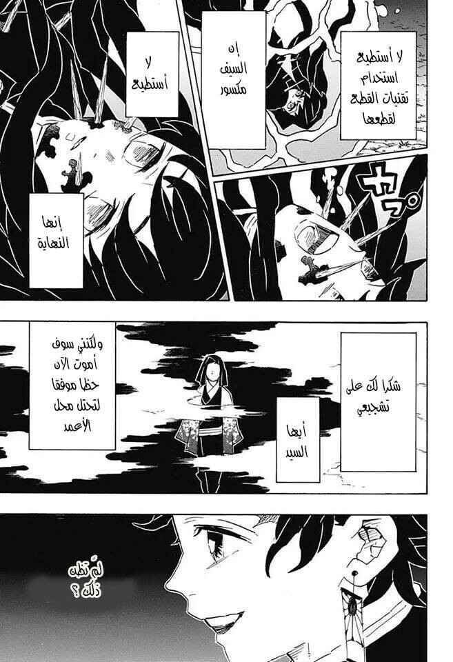 Demon Slayer: Kimetsu no Yaiba Chapter 117 - Page 3