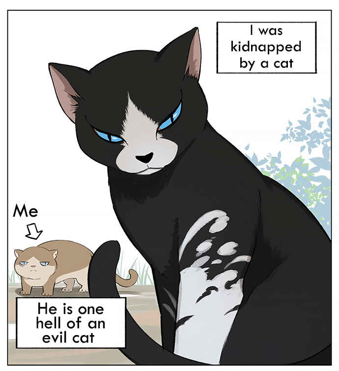 Southern Bird and Northern Bird Chapter 23 - Page 1