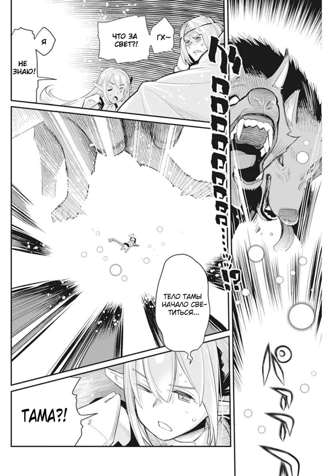 S-Rank Monster no "Behemoth" dakedo, Neko to Machigawarete Elf Musume no Pet to Shite Kurashitemasu Chapter 50 - Page 17