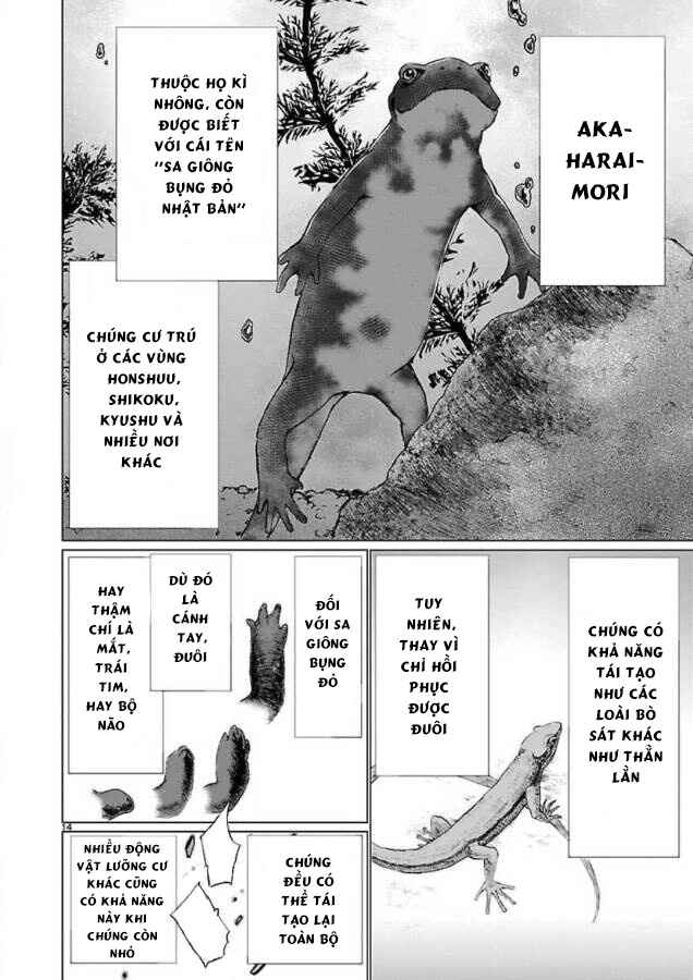 Killing Bites Chapter 46 - Page 19