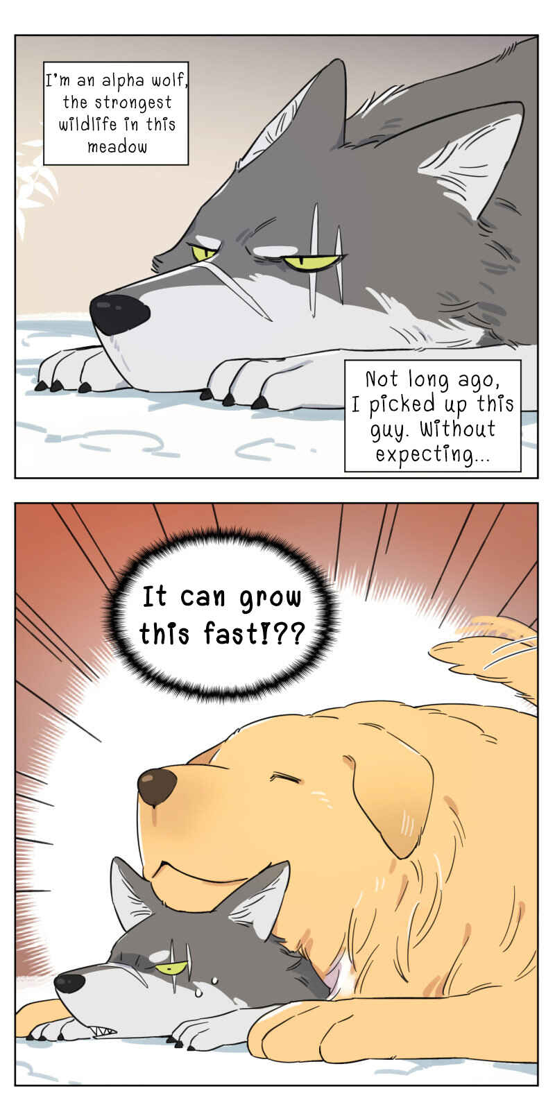 The Wolf That Picked Something Up Chapter 2 - Page 1