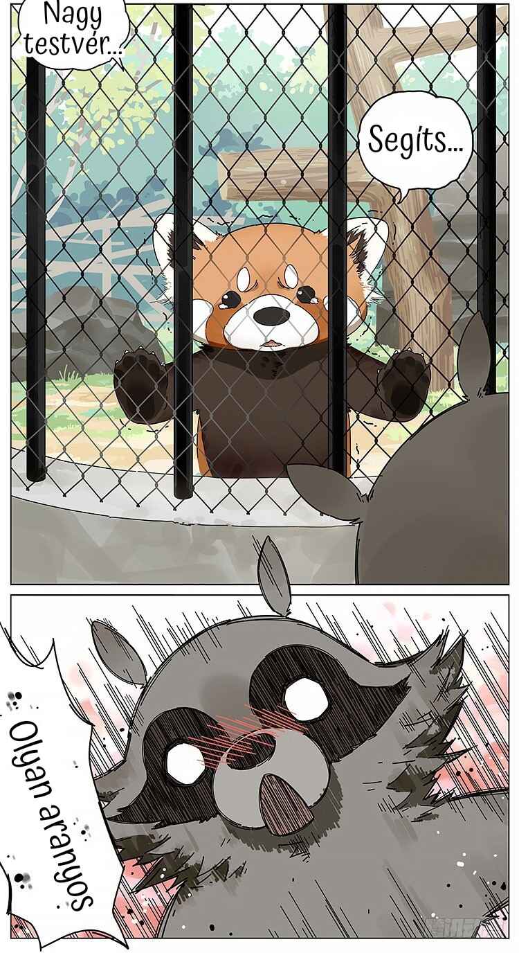 Please Call Me Red Panda Chapter 1 - Page 2