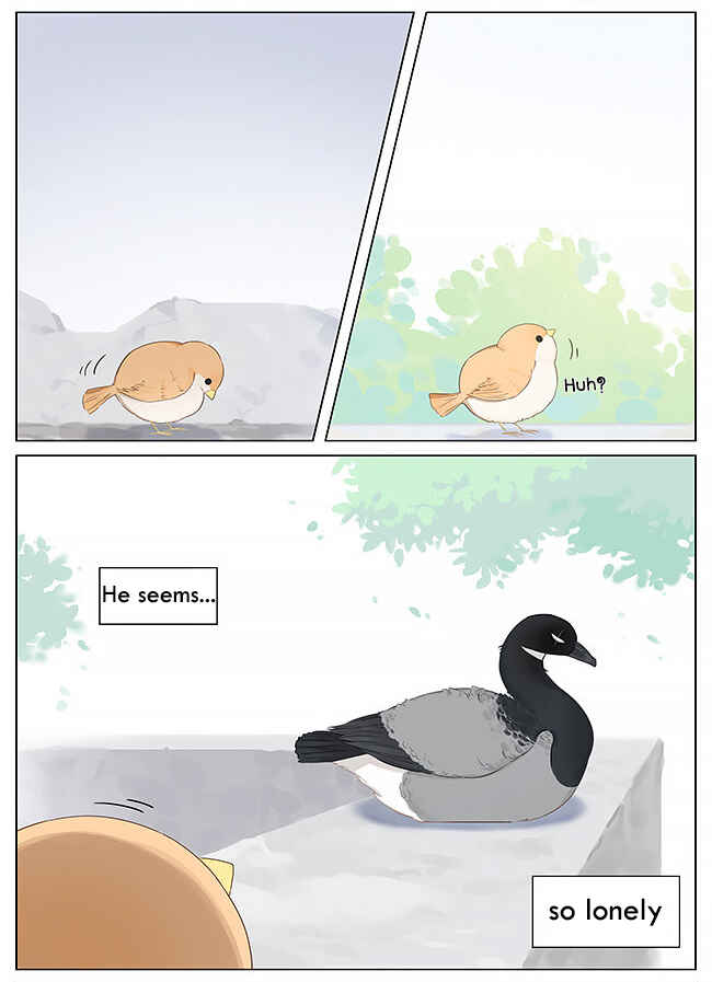 Southern Bird and Northern Bird Chapter 10 - Page 9