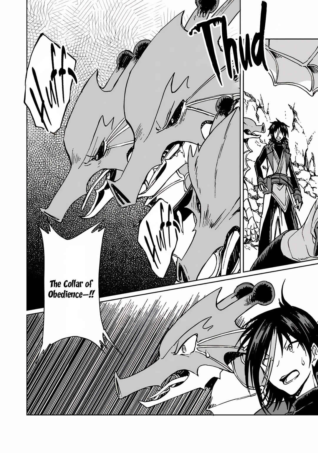 S-kyuu Guild wo Tsuihousareta kedo, Jitsu wa Ore dake Dragon no Kotoba ga Wakaru no de, Kidzuita Toki ni wa Ryuu Kishi no Chouten wo Kiwametemashita. Chapter 20 - Page 17