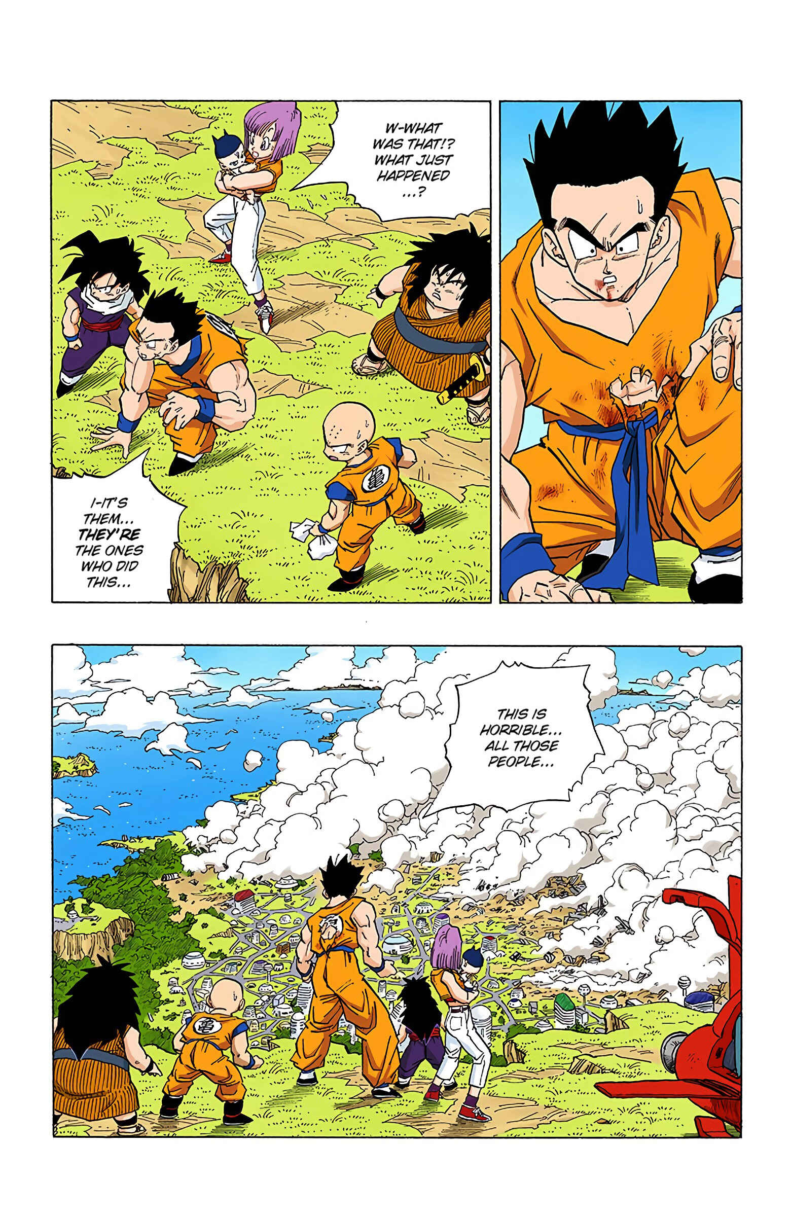 Dragon Ball (Official Colored) Chapter 339 - Page 12