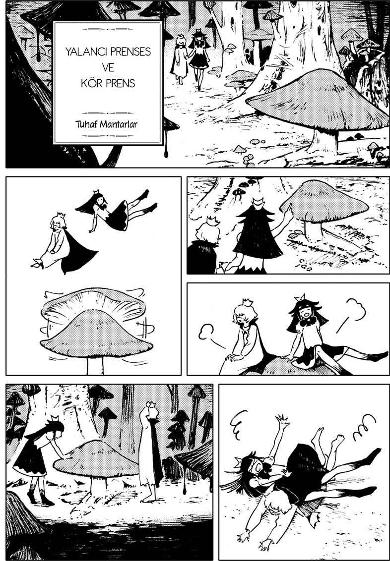 Liar Princess and the Blind Prince Chapter 6 - Page 1