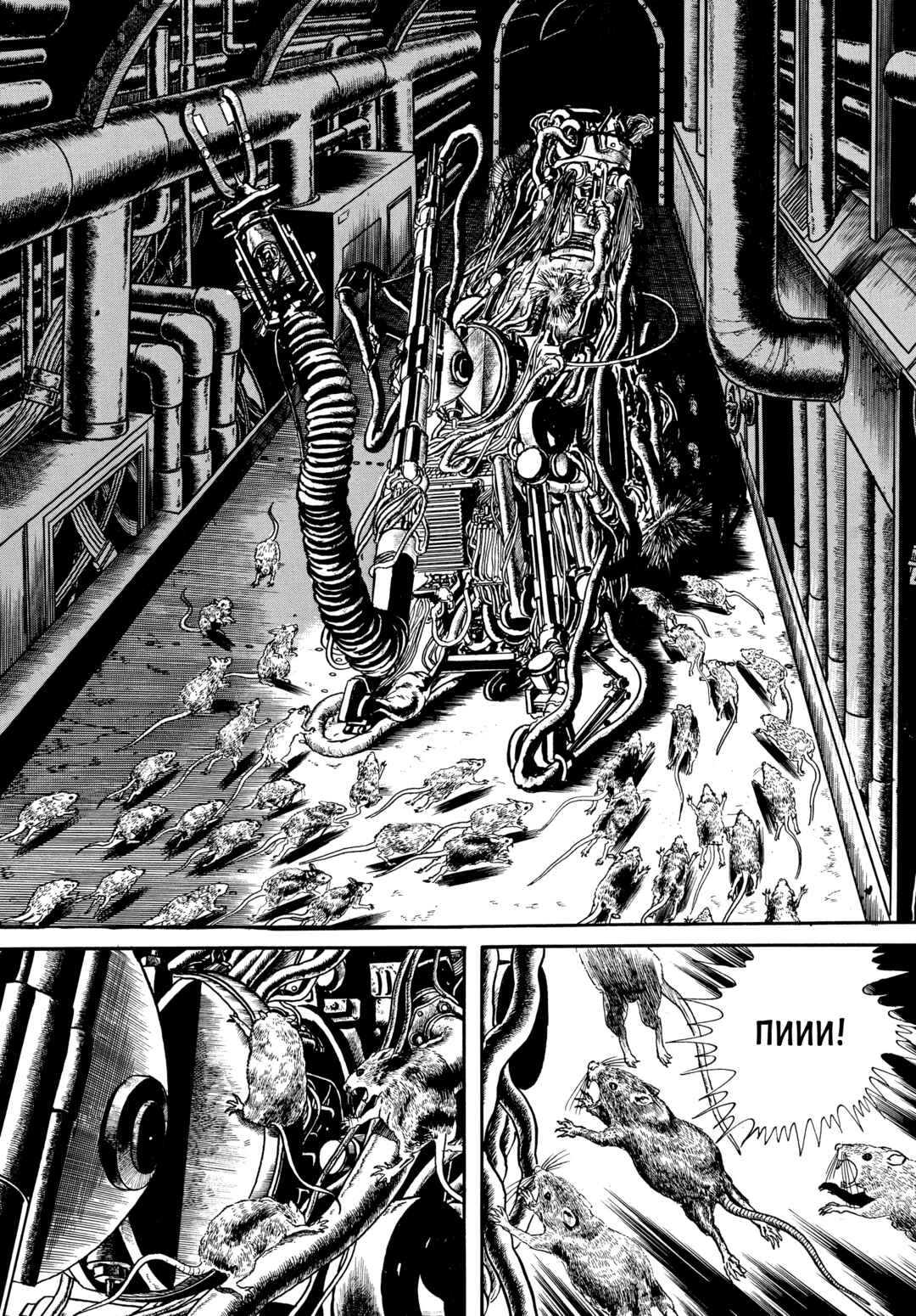 My Name Is Shingo Chapter 68 - Page 12