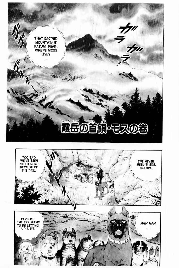 Silver Fang – The Shooting Star Gin – Chapter 14 - Page 11