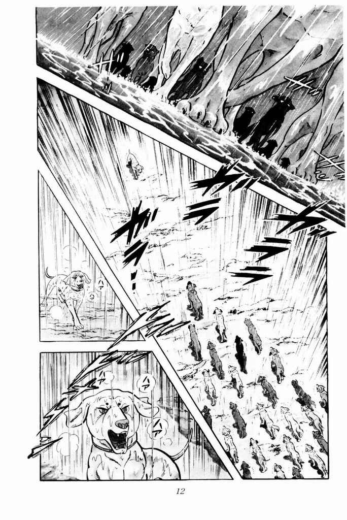 Silver Fang – The Shooting Star Gin – Chapter 14 - Page 15