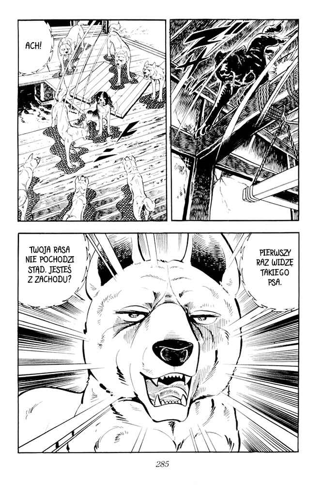 Silver Fang – The Shooting Star Gin – Chapter 20 - Page 19