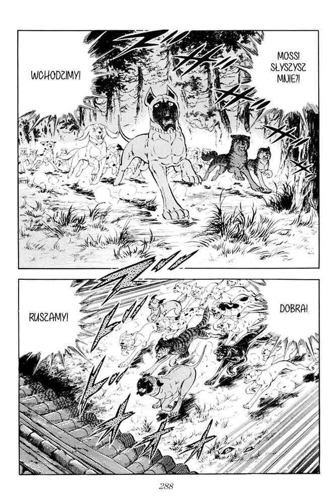 Silver Fang – The Shooting Star Gin – Chapter 20 - Page 22