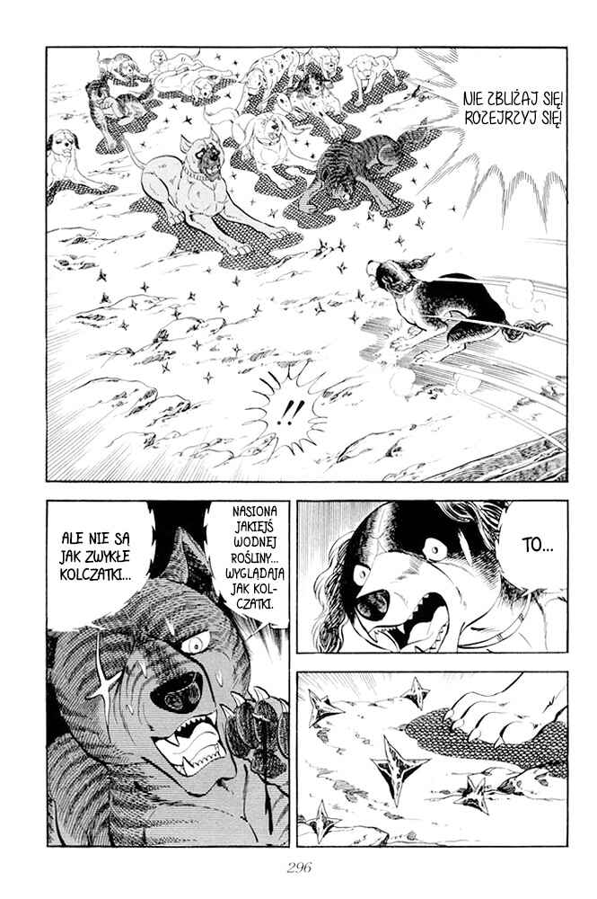 Silver Fang – The Shooting Star Gin – Chapter 20 - Page 30