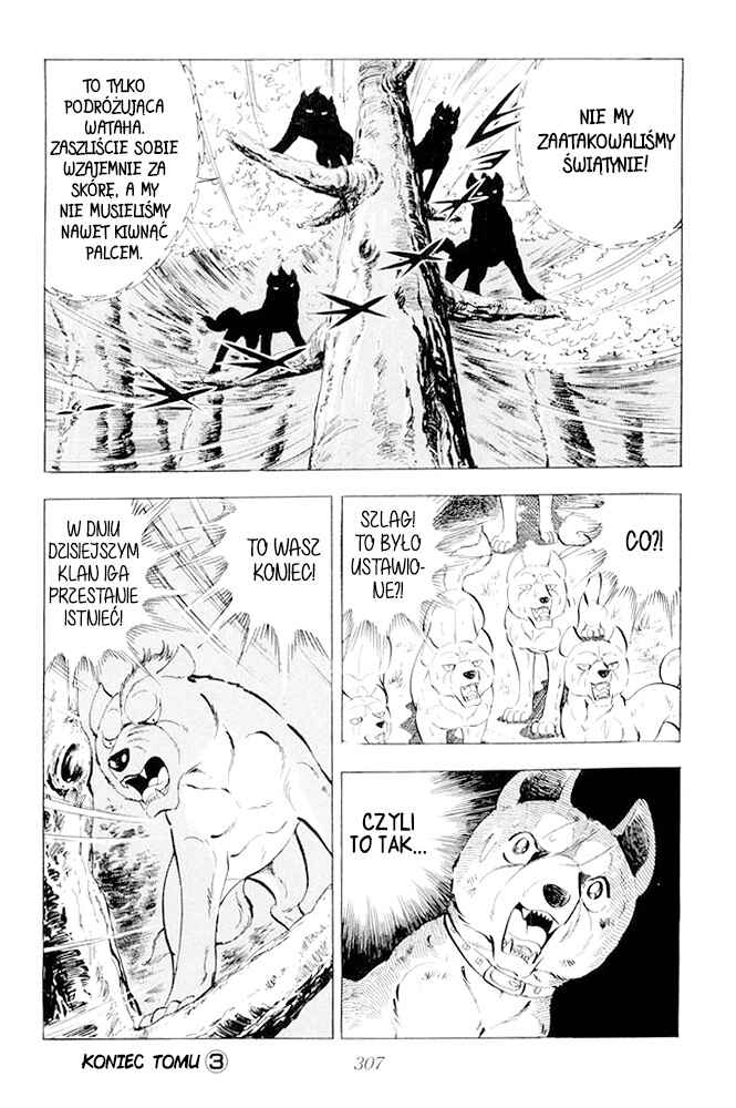 Silver Fang – The Shooting Star Gin – Chapter 20 - Page 41