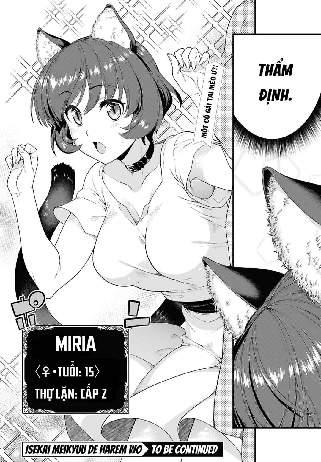 Isekai Meikyuu de Harem o Chapter 101 - Page 17