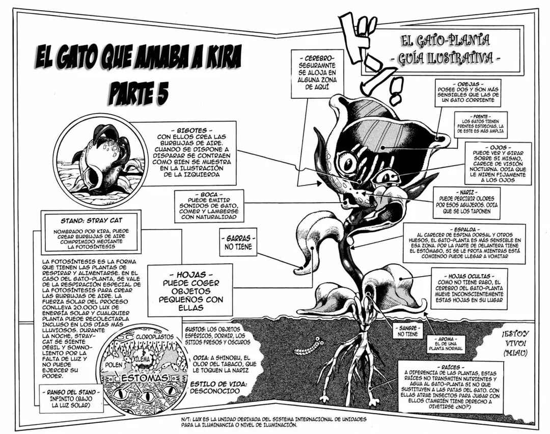 JoJo no Kimyou na Bouken: Part 4 - Diamond wa Kudakenai Chapter 131 - Page 3