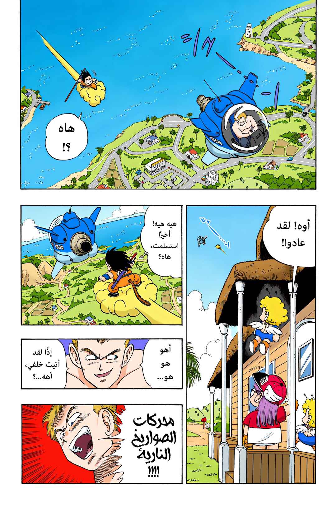 Dragon Ball (Official Colored) Chapter 81 - Page 11