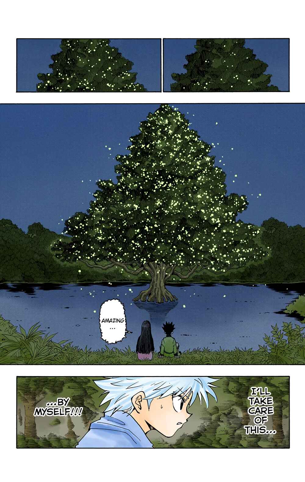 Hunter x Hunter (Official Colored) Chapter 218 - Page 12
