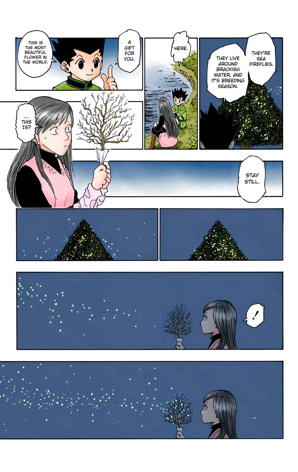 Hunter x Hunter (Official Colored) Chapter 218 - Page 13