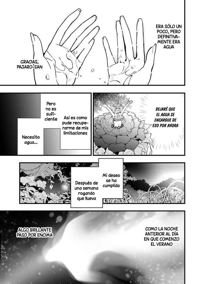 Shokubutsu Monster Musume Nikki: Seijo datta Watashi ga Uragirareta Hate ni Alraune ni Tensei Shite Shimatta node, kore kara wa Kougousei o Shinagara Shizuka ni Shokubutsu Life o Sugoshimasu Chapter 3 - Page 19