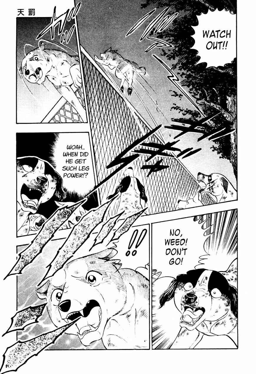 Ginga Densetsu Weed Chapter 11 - Page 18